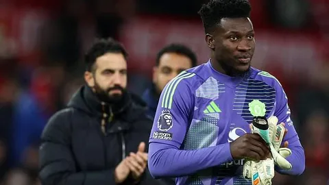 东映动画遭遇黑客攻击，《海贼王》等作品受影响